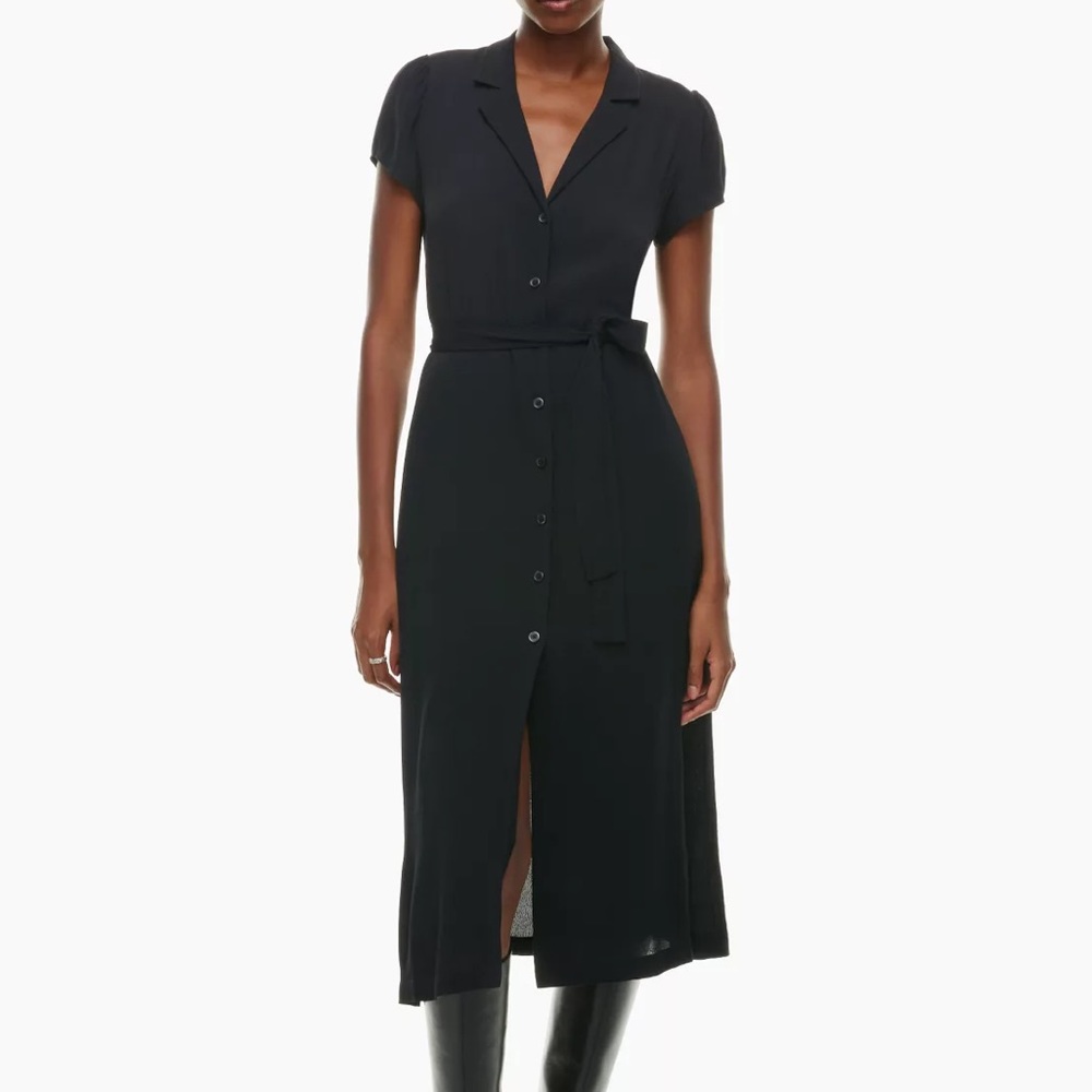 Aritzia Wilfred Shirt Dress